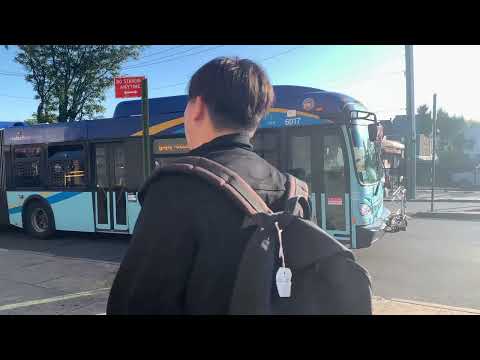 MTA NYCT Bus: Q20A and Q44 SBS Buses Rerouted on Kissena Blvd