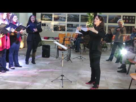 Denise Castilho Cocareli - Arvo Pärt - Solfeggio