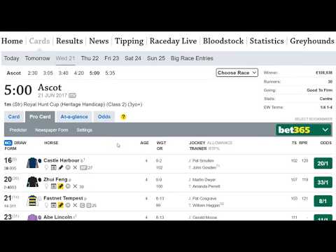 Royal Hunt Cup Final 2017 33/1 winning tip