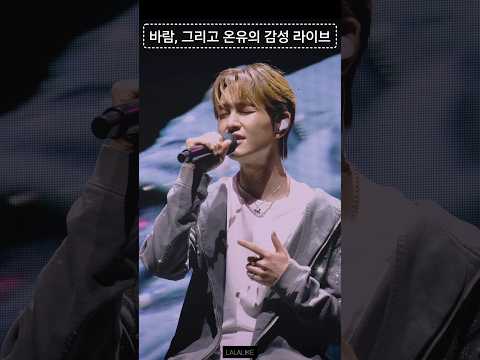 바람도 온유 곁에 머물고 싶은가 보다 (250921부산재즈페스타)#온유 #ONEW