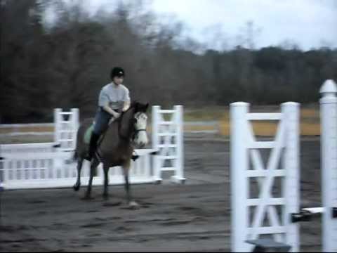 Picasso pony jumper