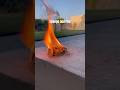 Watch till the end! What happens when sponge is on fire!😍 #experiment