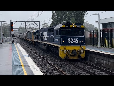 8245 and 8179 on Pacific National Grain Train 4831 Passing Pennant Hills NSW - 27/12/2021