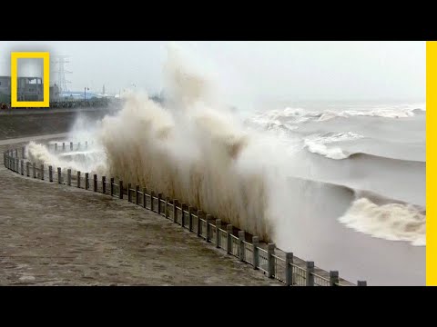 download lagu mp3 mp4 High Tide During Full Moon, download lagu High Tide During Full Moon gratis, unduh video klip High Tide During Full Moon