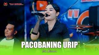 Download lagu PACOBANING URIP - ICHA KISWARA - OM SAVANA SAKJOSE - THE WEDDING ( LUCKYTA & ANDI ) mp3 Download lagu PACOBANING URIP - ICHA KISWARA - OM SAVANA SAKJOSE - THE WEDDING ( LUCKYTA & ANDI ) mp3