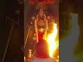 Shri Dwarkadhish Shrungar Aarti Darshan