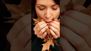 Crunching Dry Leaves ASMR | Natural Rustling & Crisp Sounds