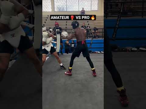 Amateur vs Pro | Experience Always Wins 🥊🔥 #boxing #boxinglife #boxingtraining