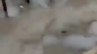 Download lagu History wa sumuk ndasmu mp3