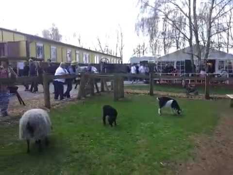 Spargelhof Kremmen im Land Brandenburg 2013