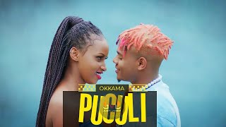 Download lagu Puculi Okkama Instrumental Free Beat ( 4K video) mp3