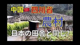 中国の田舎の人は何を食べる？日本と同じ？四川省農村に住んでいる85歳おばあちゃんの暮らしをご紹介します〜