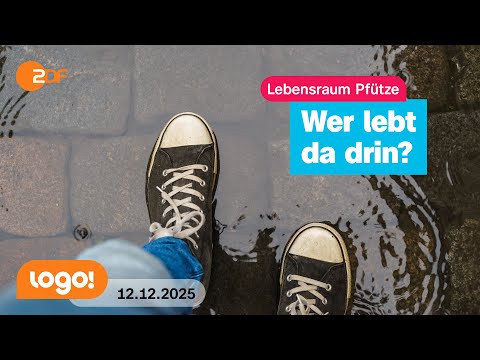 That's why puddles are so exciting | logo! news from December 12, 2025