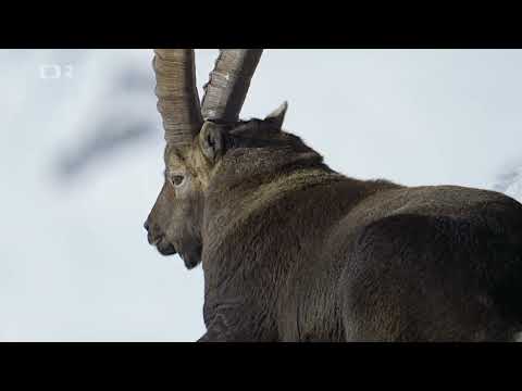 Divoká příroda Slovinska