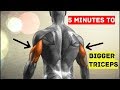 Intense 5 Minute Triceps Workout