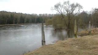 preview picture of video 'Potvynis, upė Šventoji, Kavarskas, Aukštaitija 2010 pavasaris 2'