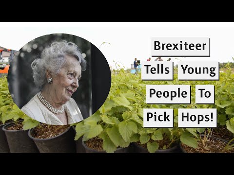 Brexiteer Lynn Wants Young People To Pick Hops Like In The Old Days!