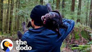 Family Carries Their Injured Lab 7 Kilometers Down A Mountain | The Dodo