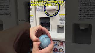 【開封】おんりーちゃんを引くまで終われない2日目【実写】#shorts #ドズル社