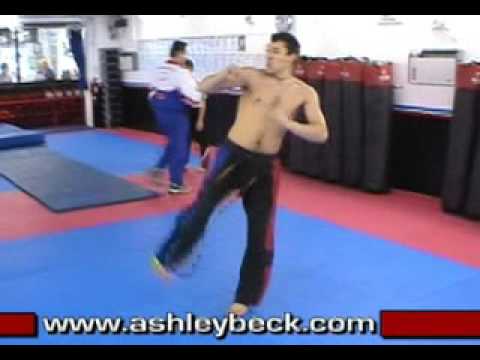 Training sampler 2 2004 - www.ashleybeck.co.uk