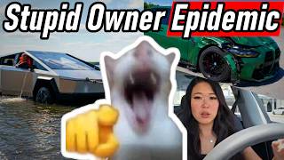 The Stupid Car Owner Epidemic