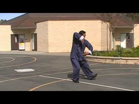 Gary Lam王氏水性太極拳