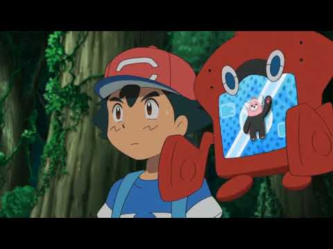 Stufful and Bewear Pokédex Entries..wmv