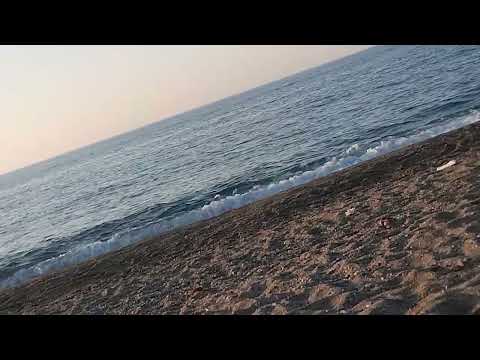 22 سبتمبر 2025