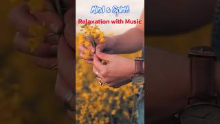 Celtic Ambient Music 🍀 Relaxing Sounds & Atmosphere