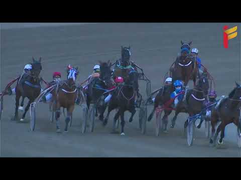 VII Corsa del 8 Febbraio 2022 - 5 Anni ed oltre - Metri 2000