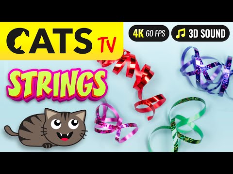 CATS TV - Multicolor STRINGS 🙀🎗️ Real FAST game for cats 😻📺 [4K 60FPS]