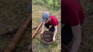 Download lagu Amazing Eel Trap With Survival Skills mp3