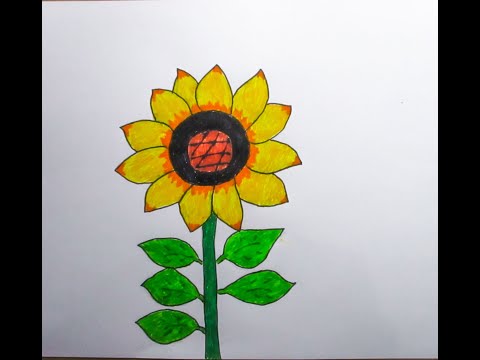Menggambar Bunga Matahari // Drawing Beautiful Sun Flower