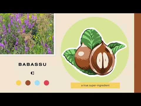 Babassu Oil to Repair Split Ends