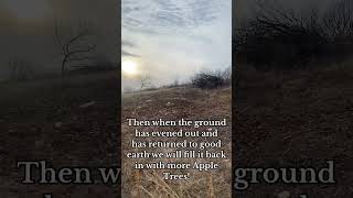 Clearing out Black Locust Trees and filling in wash out areas for a future orchard site! #farmlife