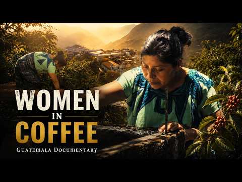 Teaser Women in Coffee | A Journey to Santa Avelina