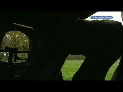 GLD Nieuws 6 november 2011 - Nieuws