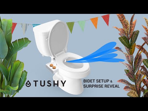TUSHY Spa Bidet | Setup and Surprise Reveal