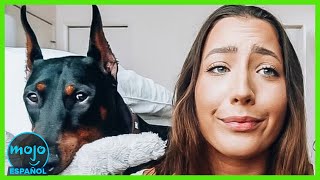 Thumbnail del capítulo