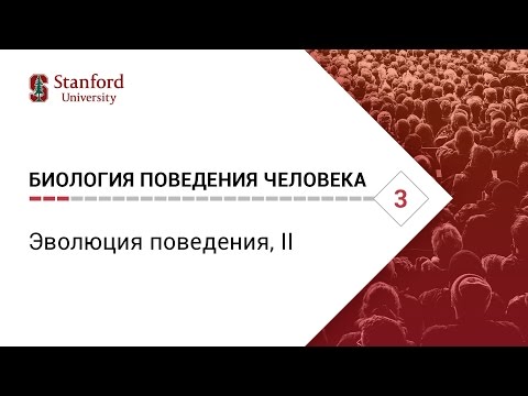 Биология поведения человека: Лекция #3. Эволюция поведения, II [Роберт Сапольски, 2010. Стэнфорд]