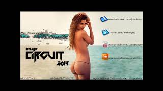 MIX CIRCUIT 2014 BY DJ ANTHONY ''R''