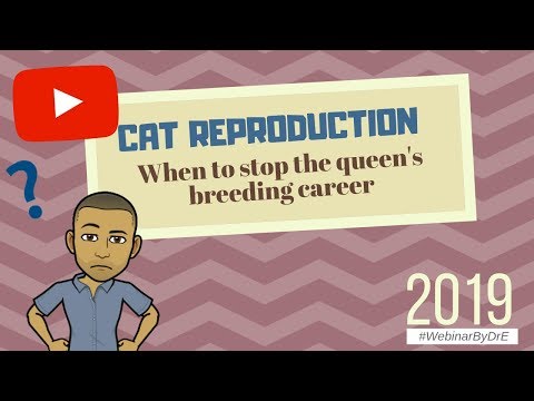 The Cat Reproductive Career : In Females, Don't Breed Too Late (2019)