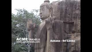 preview picture of video 'Aukana Sri Lanka Acme Travels'