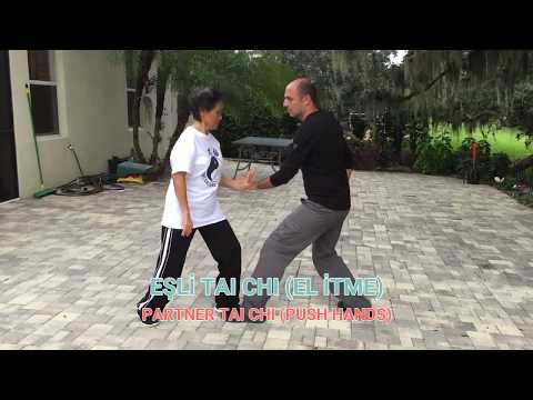 Partner Tai Chi (Push Hands)