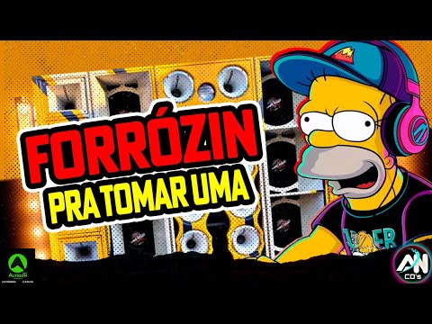 FORRÓZIN PRA TOMAR UMA 2025 - ATUALIZADO JULHO 2025 - FORRÓZIN AS MELHORES PRA PAREDÃO - DJ MELK