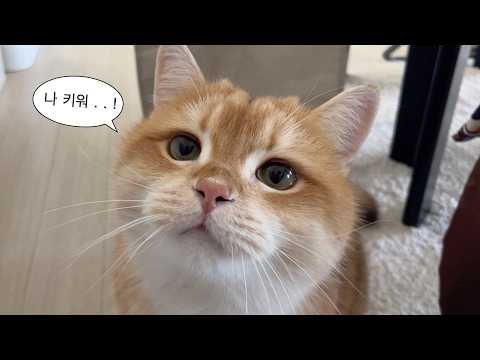 결국 이런 날이 왔다. 그래서 동글해진 건가..