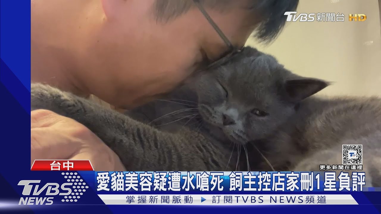 愛貓美容疑遭水嗆死!飼主控店家刪1星負評