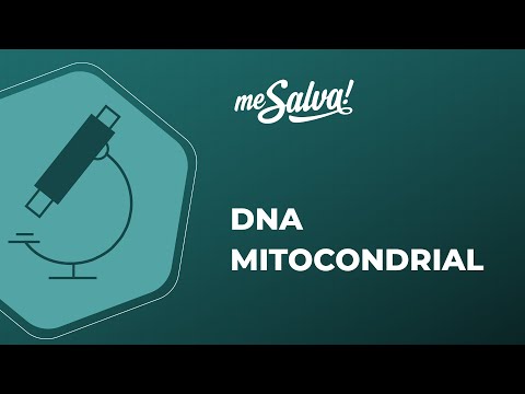 Mitochondrial DNA - Molecular Biology - Save Me! Health