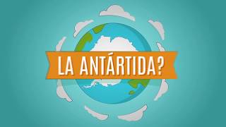 ¿Qué tanto sabes de la Antártida?
