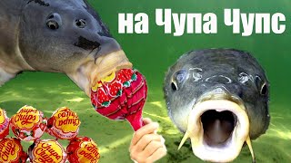 Как сделать снасть чупа чупс